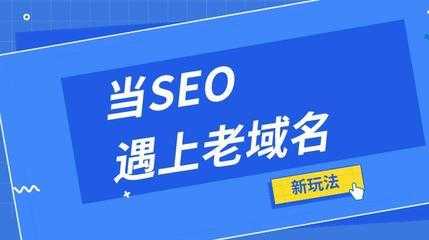 老域名seo（老域名建站）