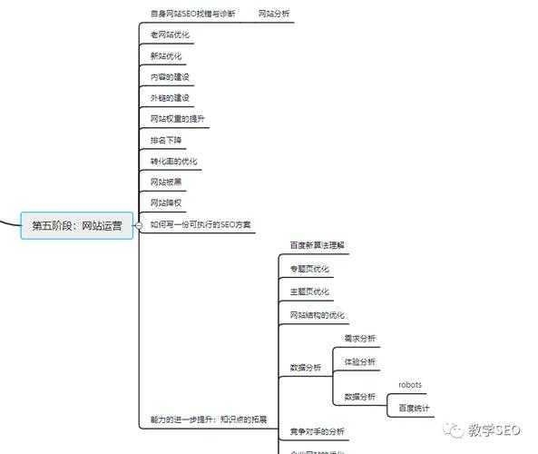 學(xué)習(xí)SEO需要掌握哪些基本知識(shí)（seo需要學(xué)什么）