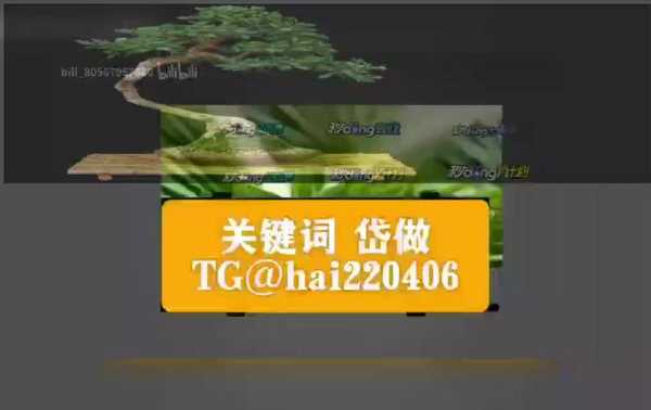 新站快速上排名教程（新站快速收錄最新技巧）